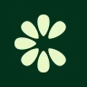 Clove: importa e salva icon