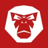 RideLink icon