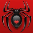 Spider Solitaire icon