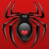 Spider Solitaire icon
