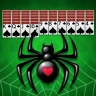 Spider Solitaire - Card Games icon