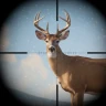 Trophy Hunter: Caça Casual icon