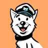 RTSP Camera icon