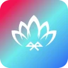Lotus Lantern icon