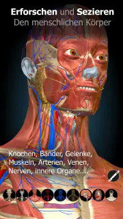 3D-Anatomie - Anatomy Learning screenshot 1