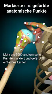 3D-Anatomie - Anatomy Learning screenshot 3