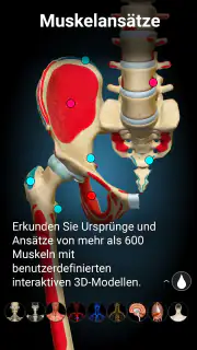 3D-Anatomie - Anatomy Learning screenshot 4