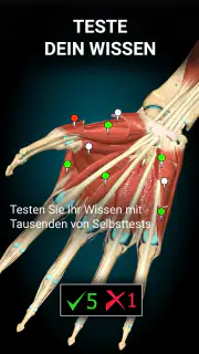 3D-Anatomie - Anatomy Learning screenshot 5