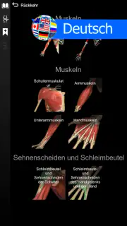 3D-Anatomie - Anatomy Learning screenshot 6