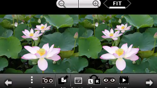 3DSteroid Pro screenshot 1