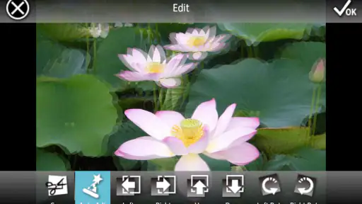 3DSteroid Pro screenshot 3