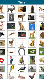 50 Sprachen lernen screenshot 5