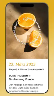 7 Wochen Ohne 2025 screenshot 5