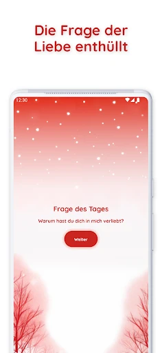 Adventskalender für Paare screenshot