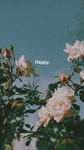 aesthetic wallpaper screenshot