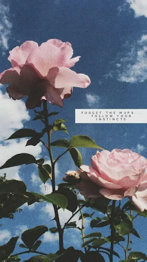 aesthetic wallpaper screenshot