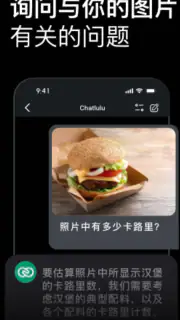Chatlulu: KI-Videos & Fotos screenshot 7