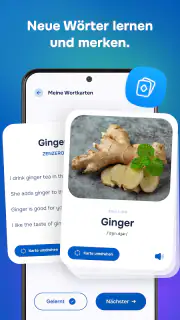 AI Sprachprofi: Lernen screenshot 5
