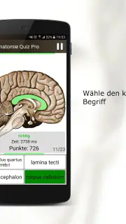 Anatomie Quiz Pro screenshot 3