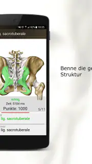 Anatomie Quiz Pro screenshot 7