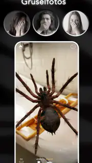 AR Spinnen: Erschrecke Freunde screenshot 2