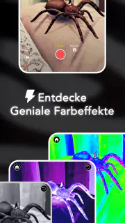 AR Spinnen: Erschrecke Freunde screenshot 4