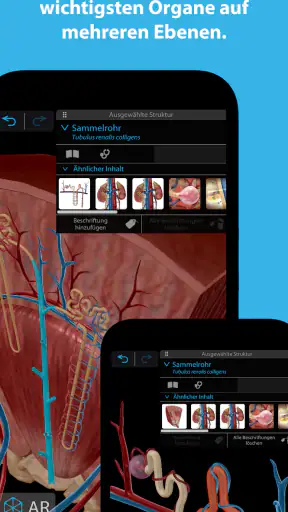 Atlas der Humananatomie 2025 screenshot