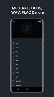 Audio Converter (MP3 AAC OPUS) screenshot 2