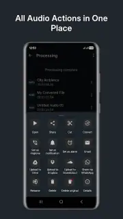 Audio Converter (MP3 AAC OPUS) screenshot 7