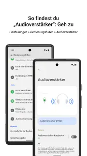 Audioverstärker screenshot 2