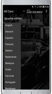 AUTO SOUNDS screenshot 7