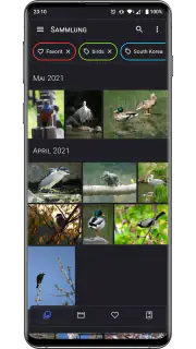 Aves Galerie screenshot 1