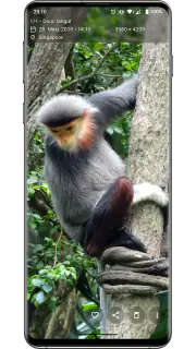 Aves Galerie screenshot 2