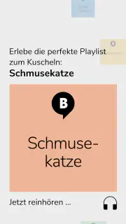 barba radio screenshot 3