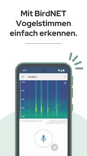 BirdNET screenshot