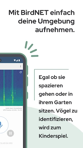 BirdNET screenshot