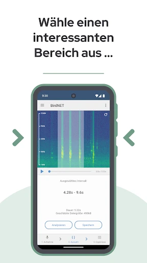 BirdNET screenshot