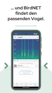 BirdNET screenshot 5