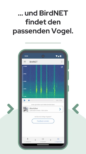 BirdNET screenshot