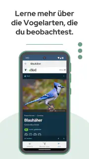BirdNET screenshot 6
