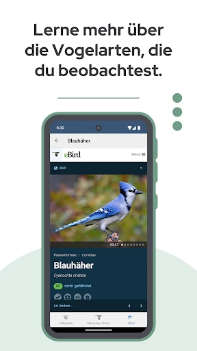 BirdNET screenshot