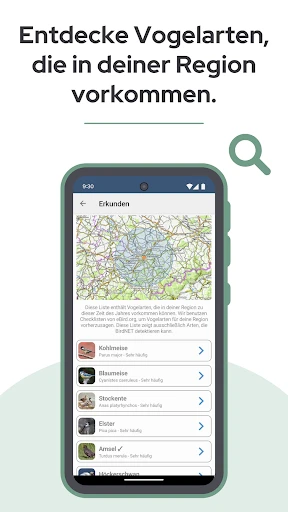 BirdNET screenshot