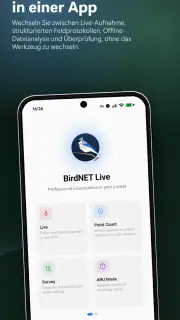 BirdNET Live screenshot 1