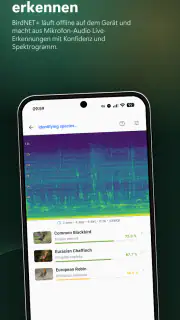 BirdNET Live screenshot 2