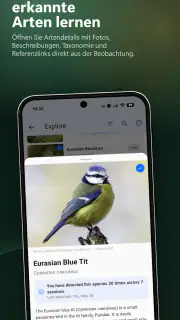 BirdNET Live screenshot 5