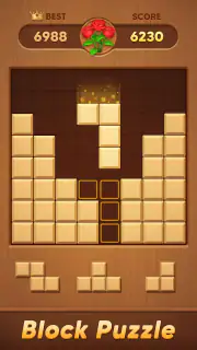 Block Flower: Wood Puzzle screenshot 4