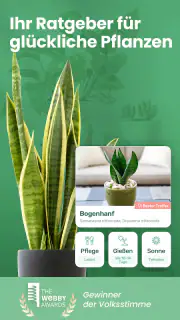 Blossom - Pflanzen bestimmen screenshot 1