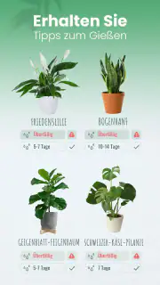 Blossom - Pflanzen bestimmen screenshot 3