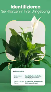 Blossom - Pflanzen bestimmen screenshot 8