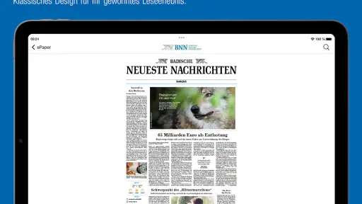 BNN ePaper screenshot 8